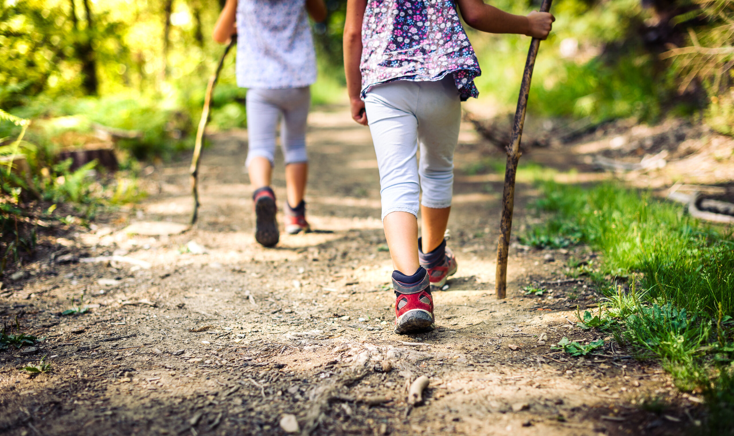 Children hiking on trail